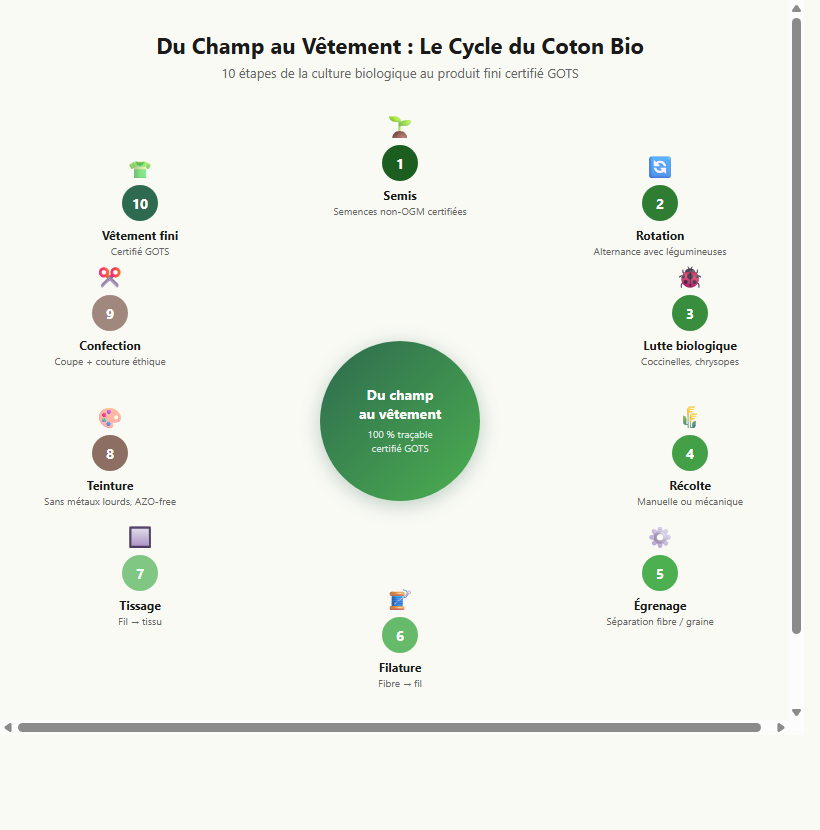 Cycle de culture du coton biologique